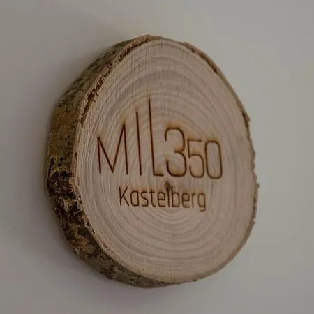Refuge Mil100 Villa Metzeral